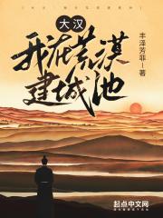 大汉我在荒漠建城池TXT