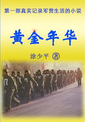 黄金年华电视剧