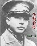 少帅春秋书