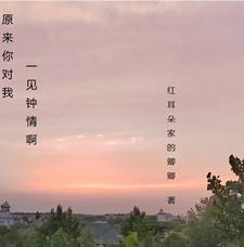 我对你一见钟情无错