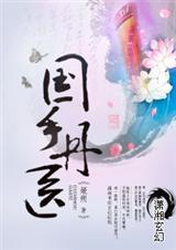 国手圣医 完结版