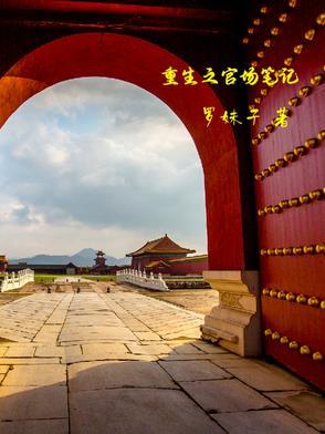 重生之官场有哪些