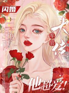 首长!你媳妇又又又又又怀孕了