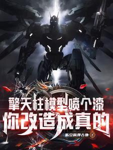 真假擎天柱视频