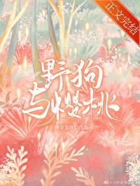 野狗与樱桃txt 神奇的猫咪