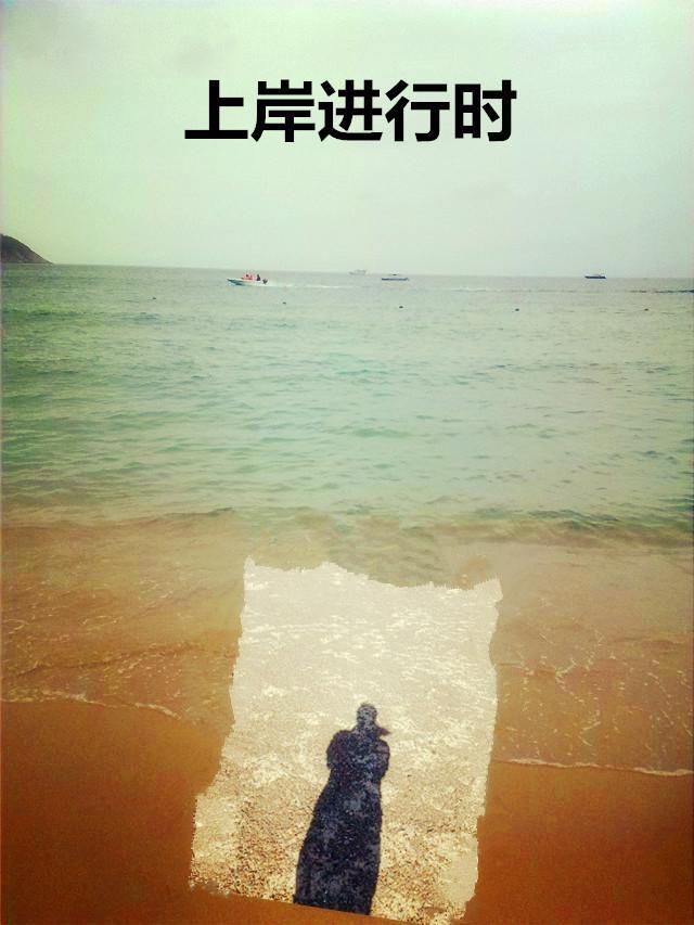 上岸进行时英文