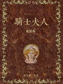 骑士夫人模拟器番外