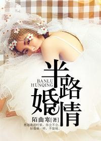 半路婚情免费全文阅读