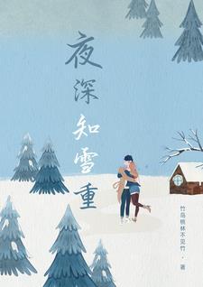 夜深知雪重by楚执全文免费阅读