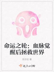 命运之轮对应